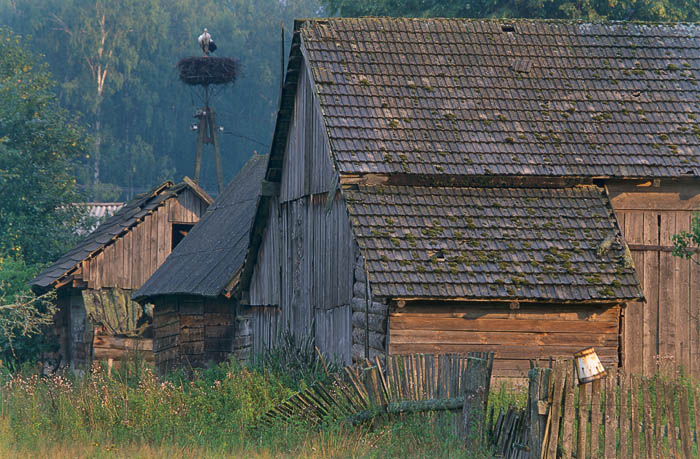 FOTO BIAŁOWIESKI PARK - 0608-03236P.jpg