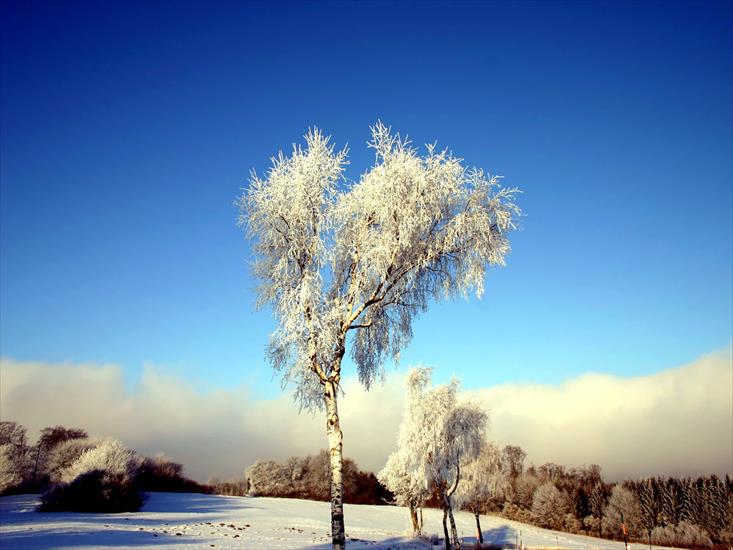 Krajobrazy - winter_avantzone01.jpg