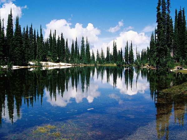 Kanada - Balsam Lake, Mount Revelstoke National Park, British Columbia, Canada.jpg