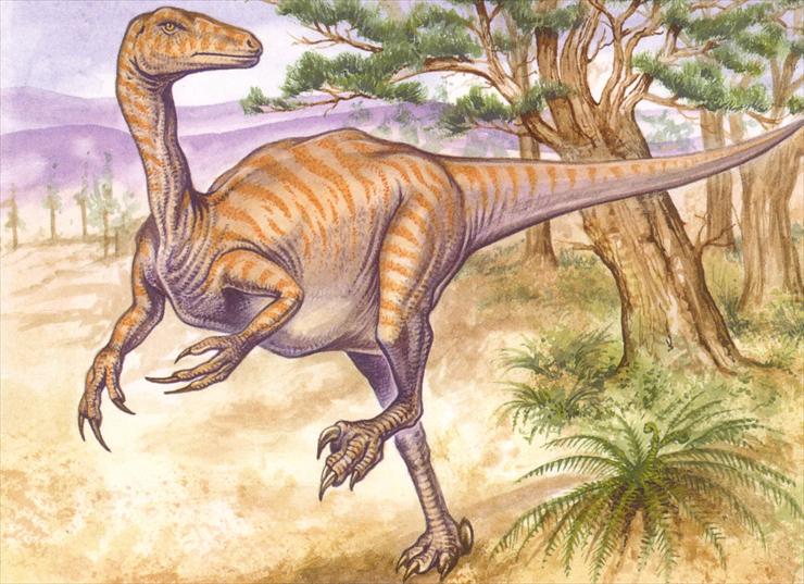 Dinosaurs - Segnosaurus.jpg