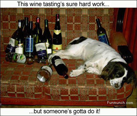 Psy - wieczór testera wina.jpg