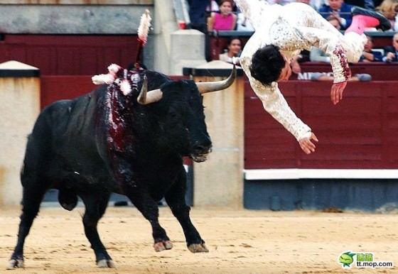 Pogromcy byków - spain-spanish-bullfighting-matadors-10-560x386.jpg