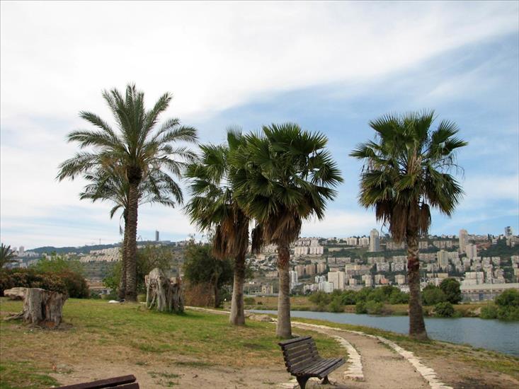 Izrael - Haifa_Park_Kishon.JPG