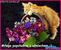  Kociaki-gif - kotek z kwiatami.jpg