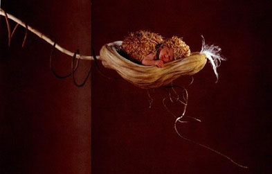   ZDJĘCIA  ANNE GEDDES - galeria anne geddes 313.jpg